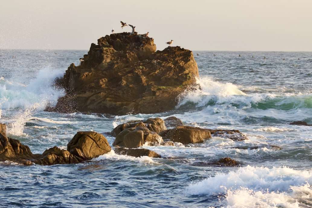 Salt Point State Park