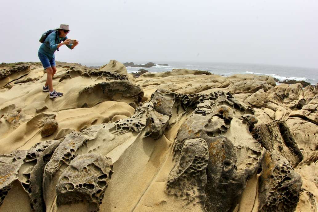 Salt Point State Park