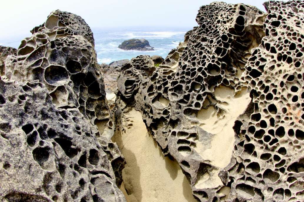 Salt Point State Park