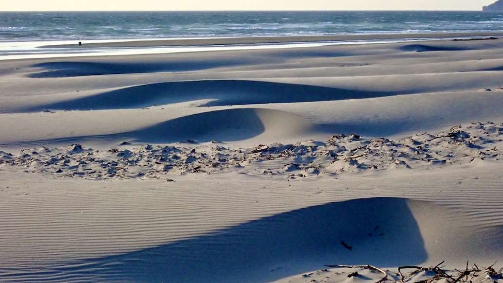 Nehalem Bay State Park