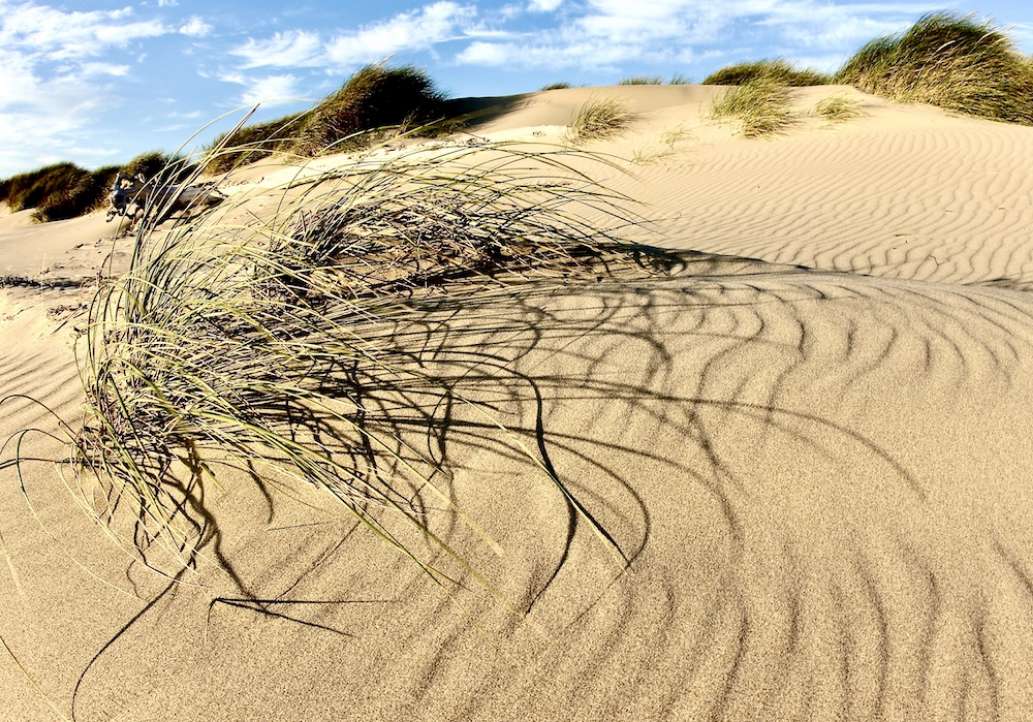 Nehalem Bay State Park