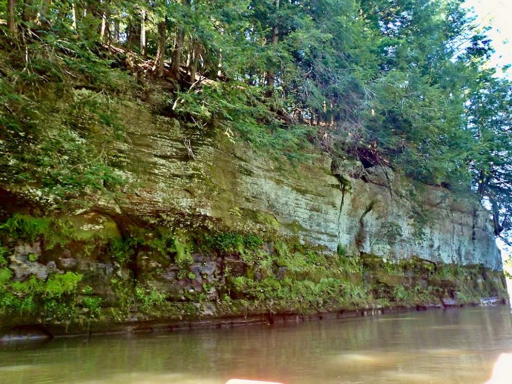 Drifty's Canoe Rental