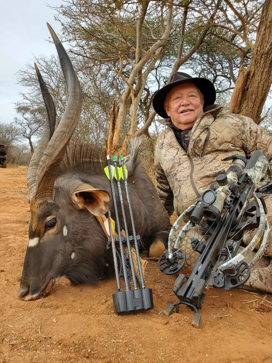 Affordable African Safari