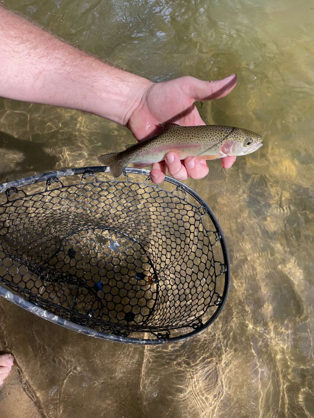 Great Fishing at Beautiful Brigadoon!