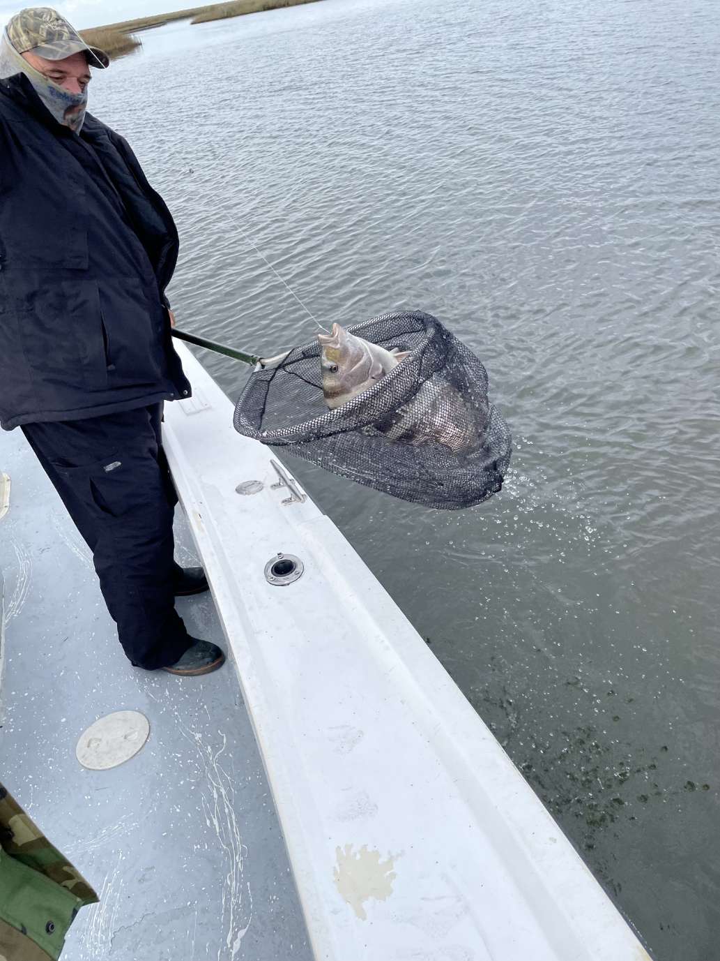 A great experience with a great guide.