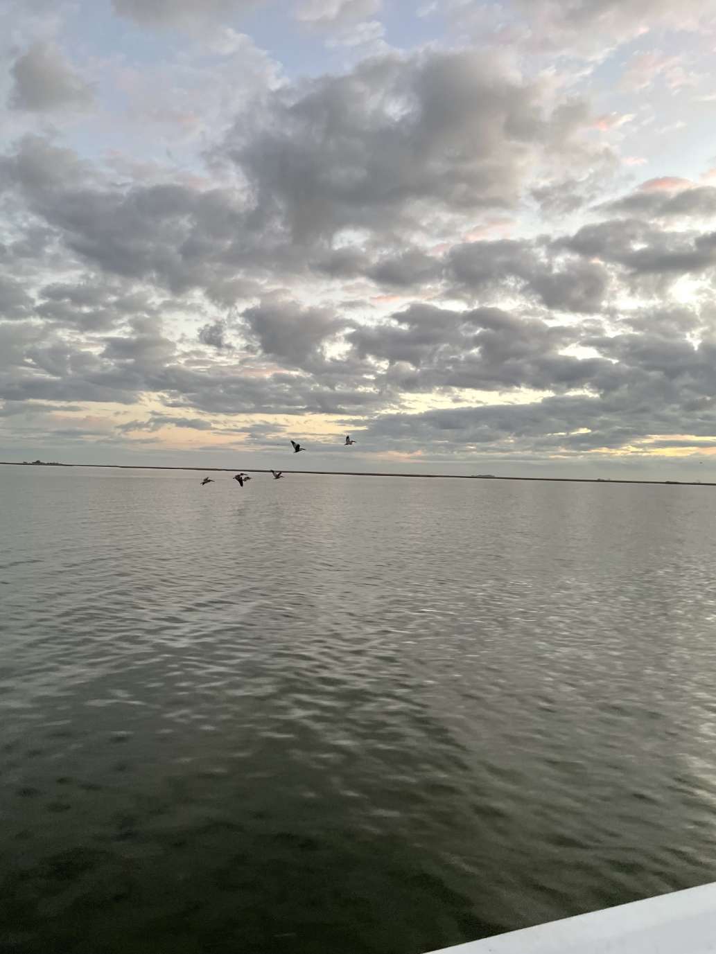 A great experience with a great guide.