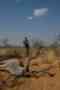 Jamy Traut Hunting Safaris