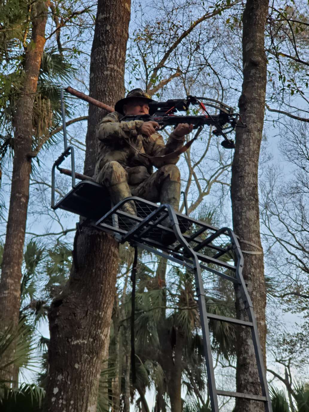 High Adventure Hog Hunt