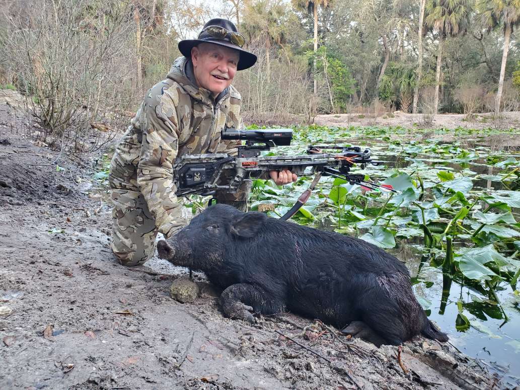 High Adventure Hog Hunt
