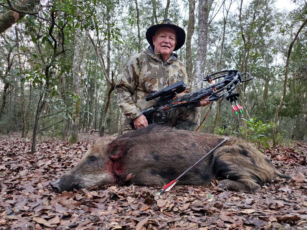 High Adventure Hog Hunt