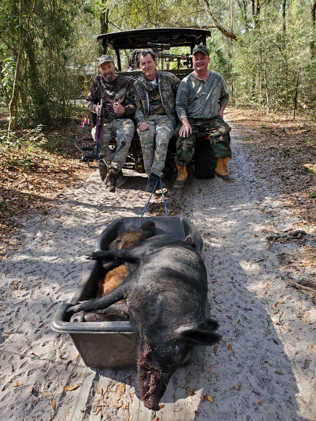 High Adventure Hog Hunt