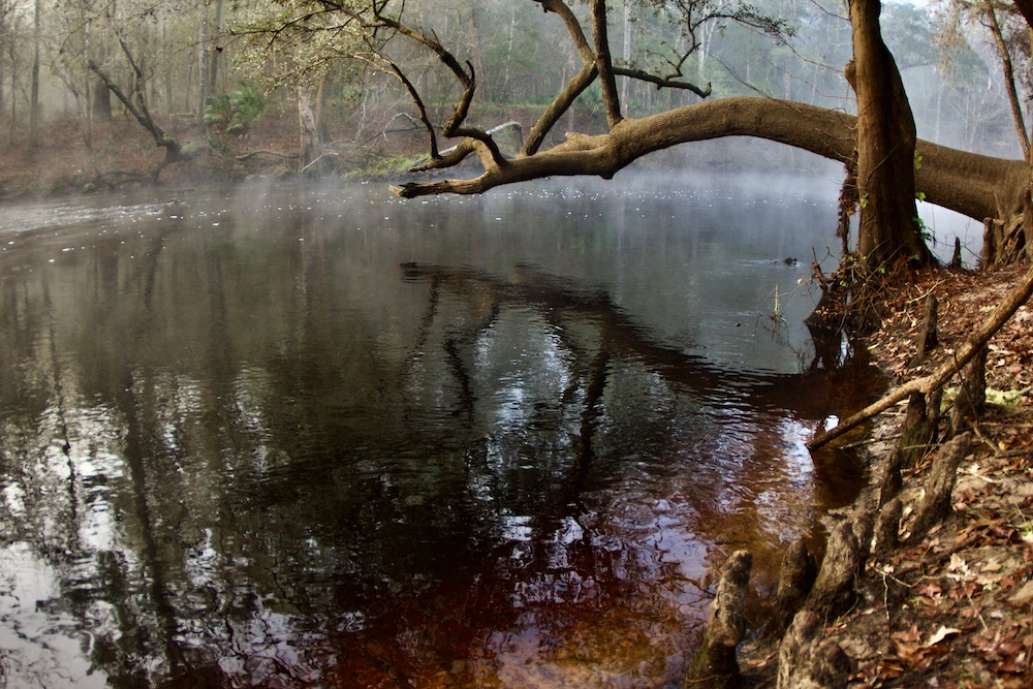 Visit O'Leno State Park