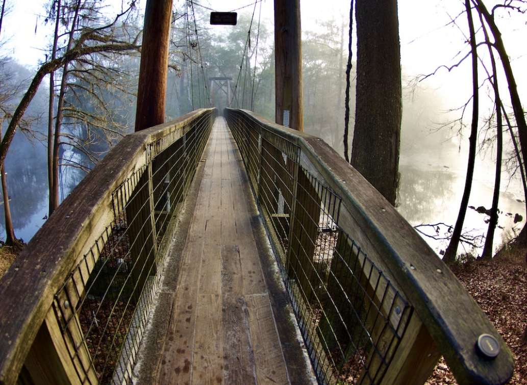 Visit O'Leno State Park