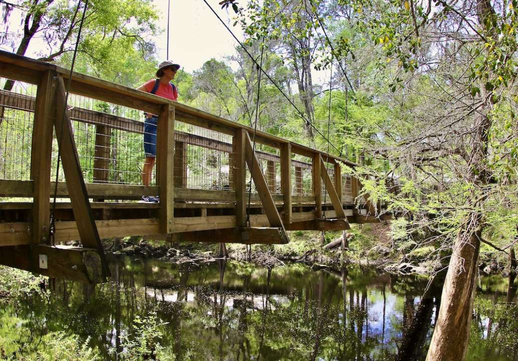 Visit O'Leno State Park