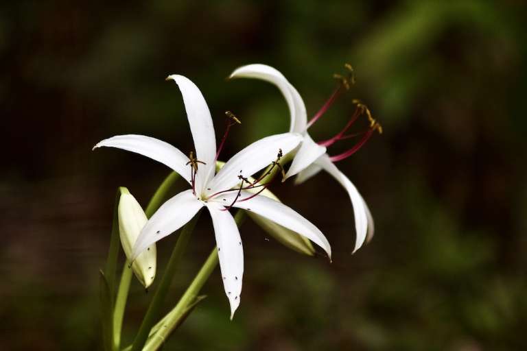 Santa Fe Canoe Outpost