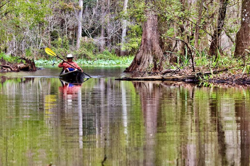 Anderson's Outdoor Adventures on Florida's Santa Fe River