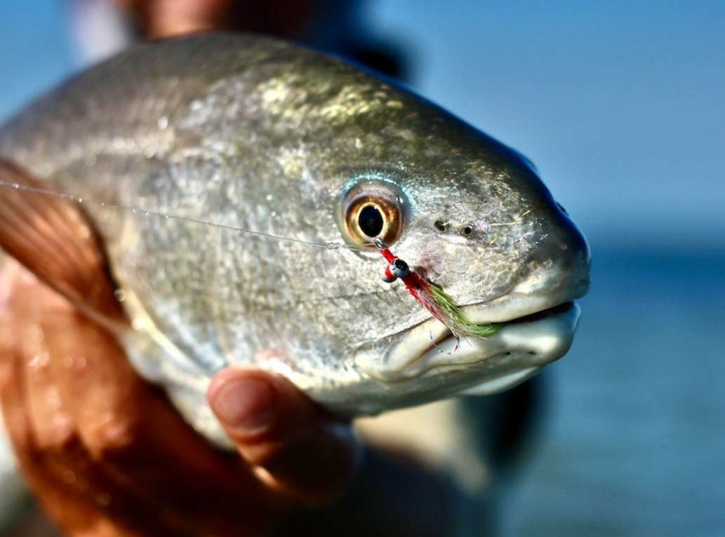 Visit St. George Island State Park!