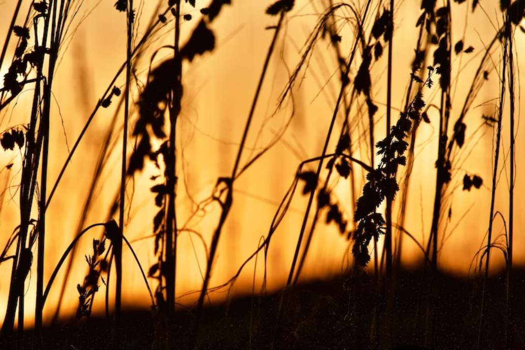 Visit St. George Island State Park!