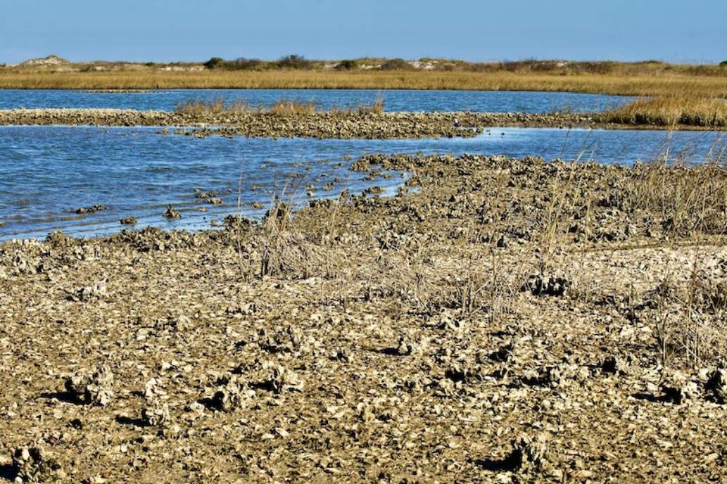 Visit St. George Island State Park!