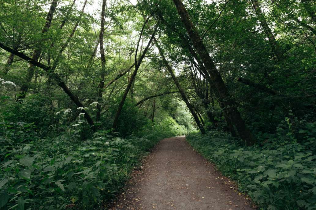 Bear Valley Trail to Kelham Beach