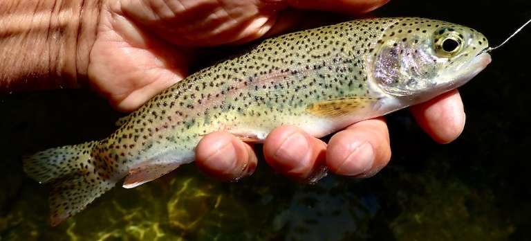 River's Edge Outfitters