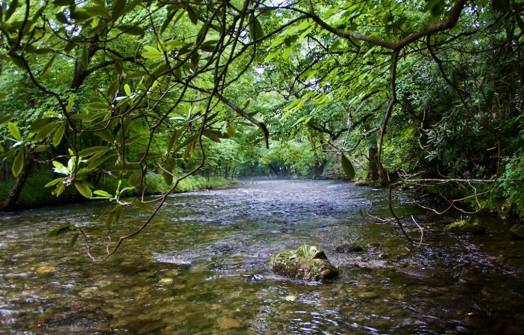 Fly Fishing the Oconaluftee River