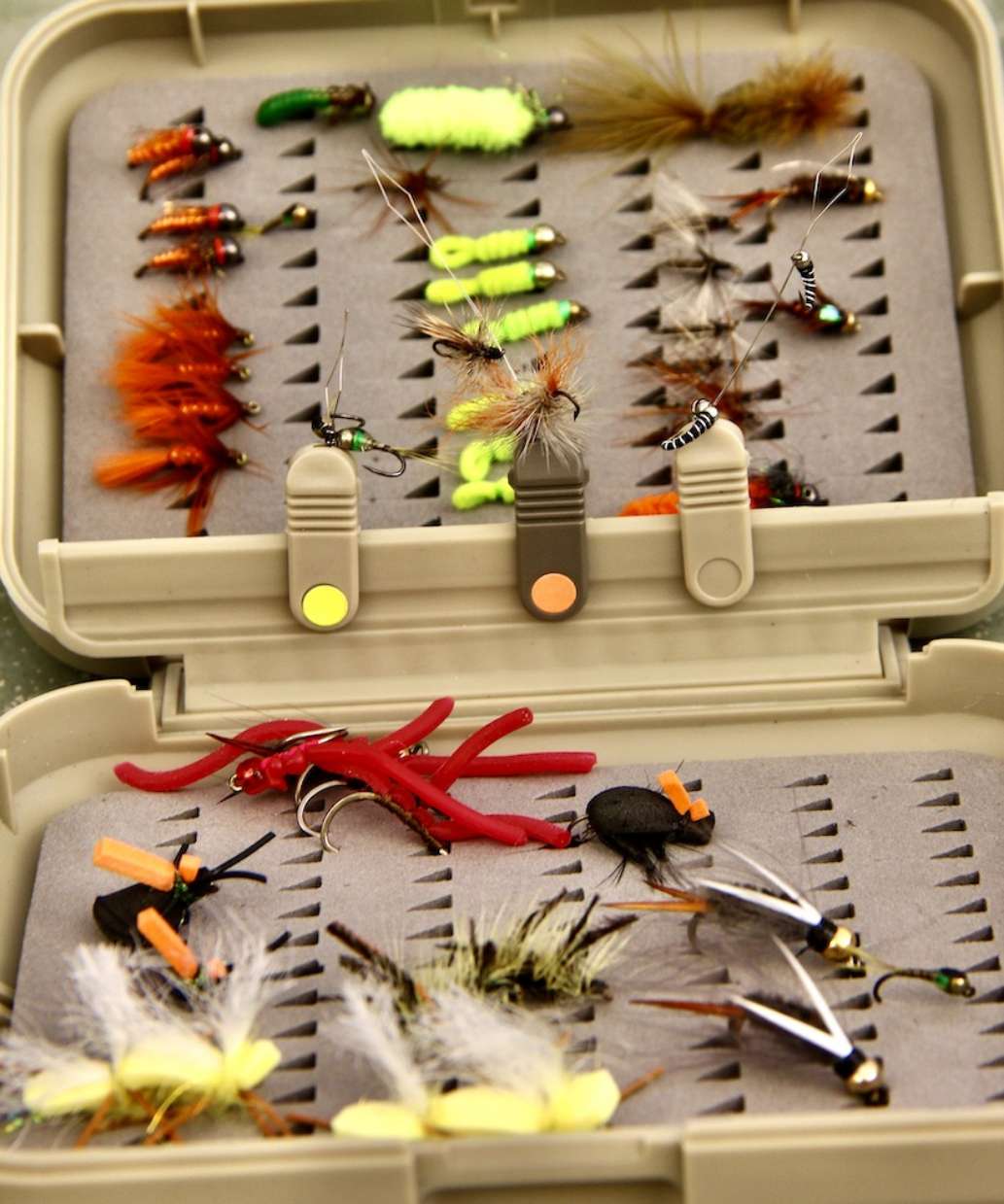 Fly Fishing the Oconaluftee River