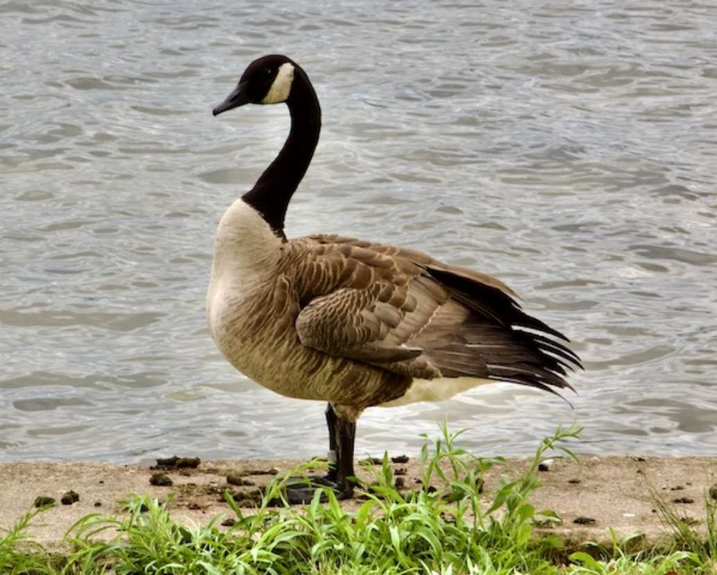 Presque Isle State Park