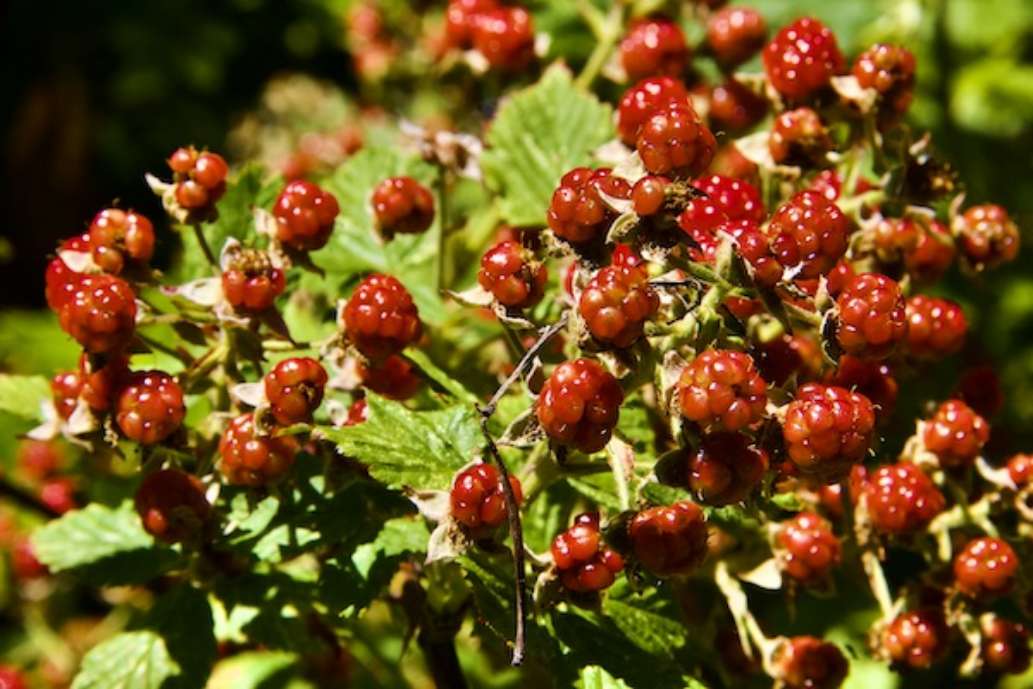 Lake Erie State Park