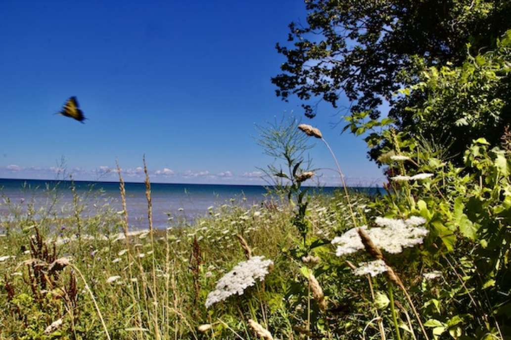 Lake Erie State Park