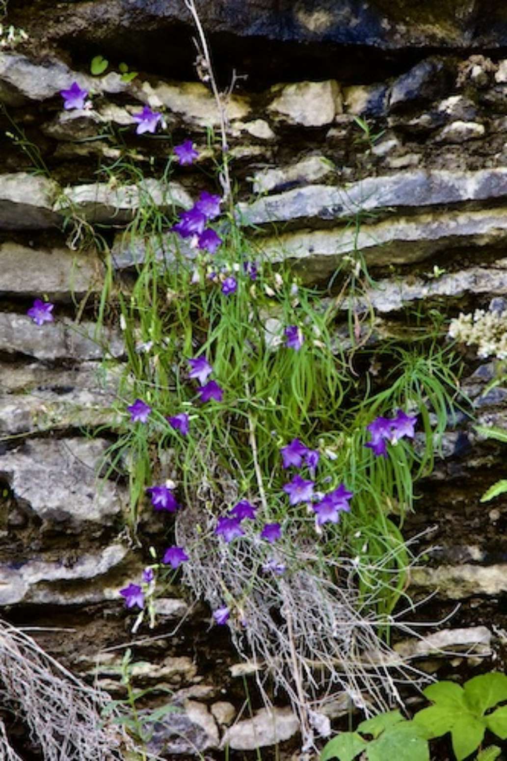 Ferris Provincial Park
