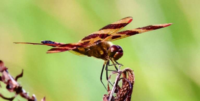 Presqu'ile Provincial Park