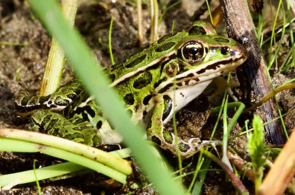 Presqu'ile Provincial Park