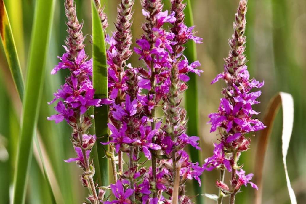 Presqu'ile Provincial Park