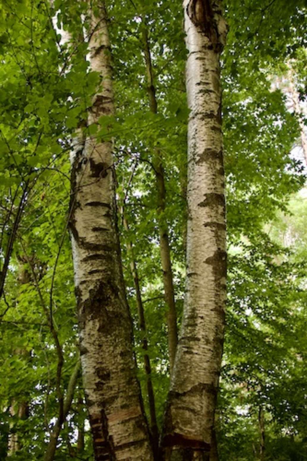 Presqu'ile Provincial Park