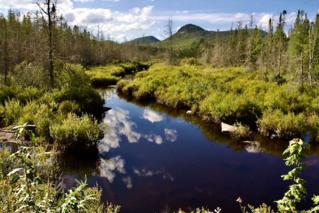 Groton State Forest