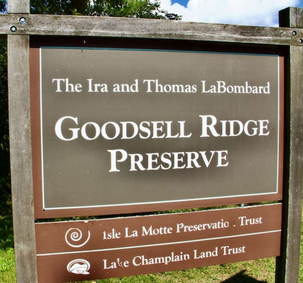 Goodsell Ridge Fossil Preserve