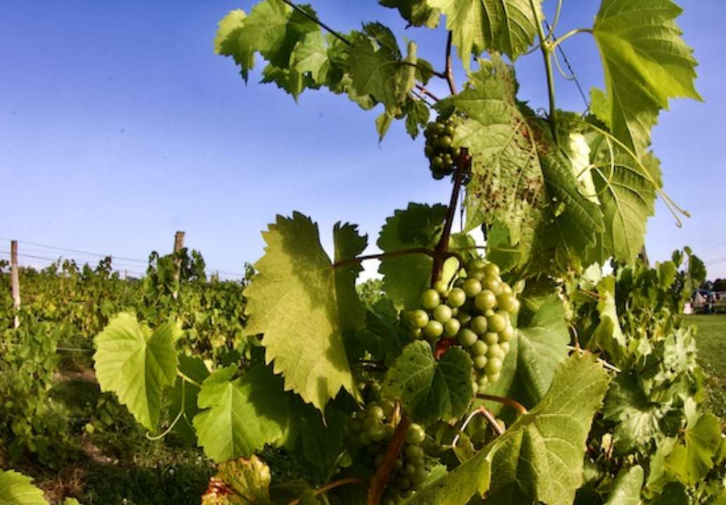 Grand Isle State Park, Vermont