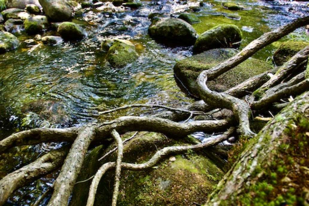 Grafton Notch State Park