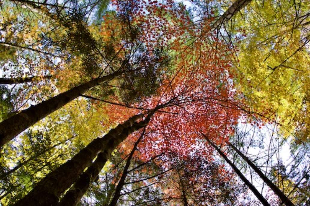 Crawford Notch State Park