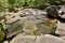 Diana's Baths
