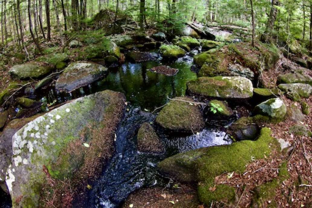 Greater Lovell Land Trust