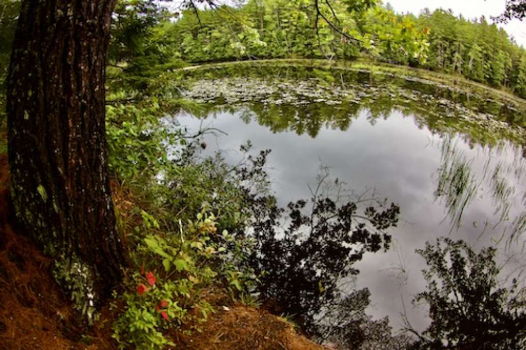 Greater Lovell Land Trust