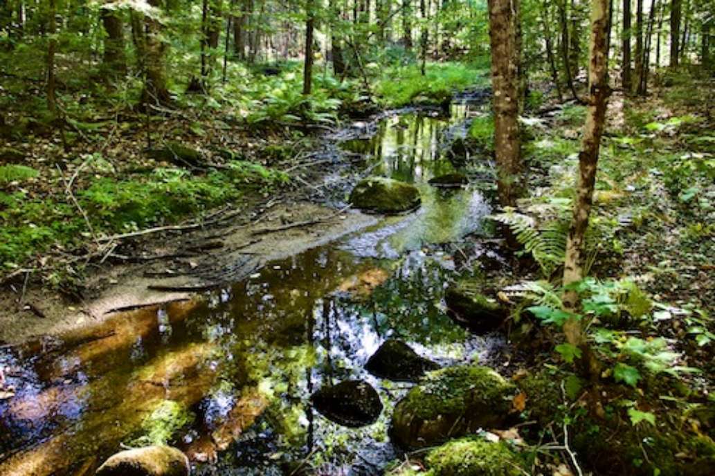 Greater Lovell Land Trust