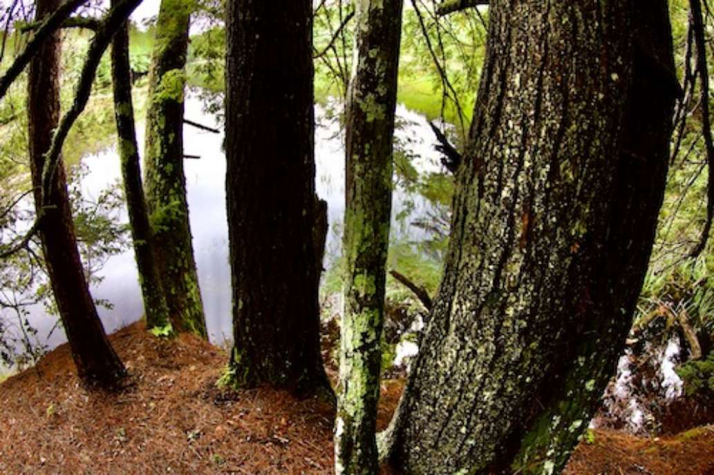 Greater Lovell Land Trust