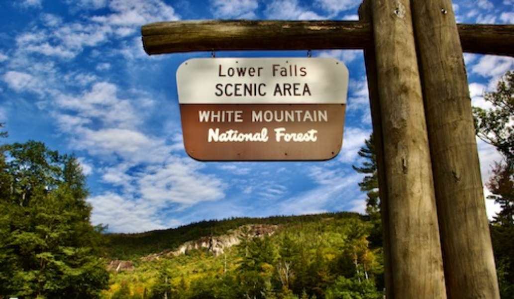 White Mountain National Forest