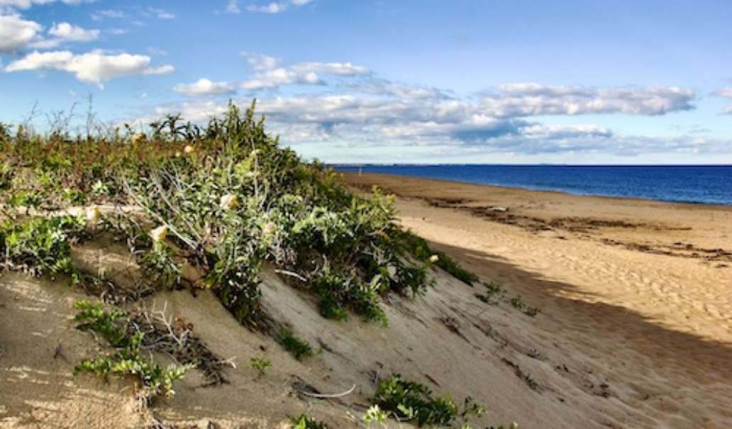Parker River National Wildlife Refuge