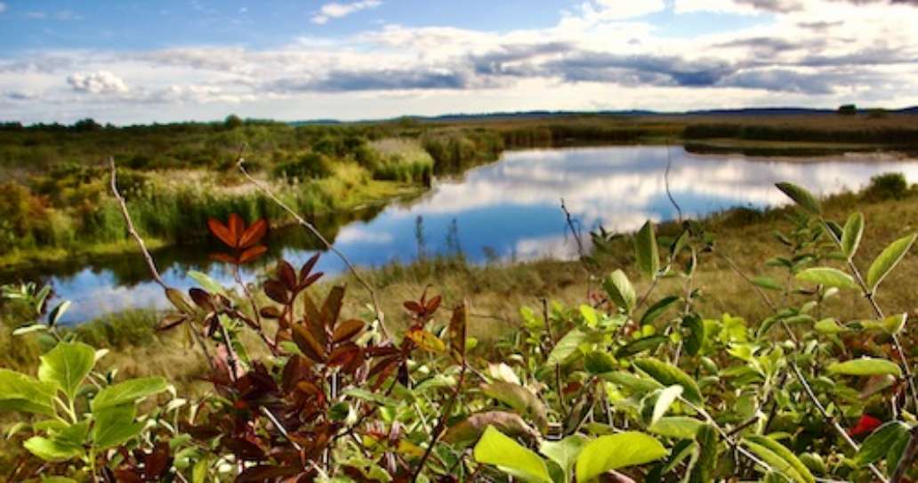 Parker River National Wildlife Refuge