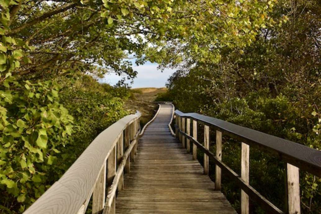 Parker River National Wildlife Refuge