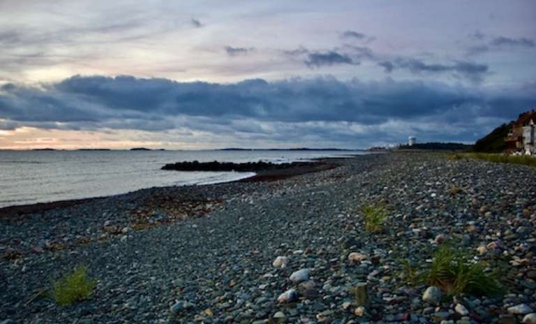 Winthrop Shore Reservation